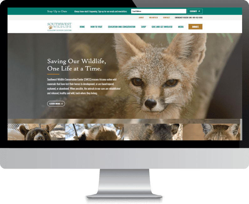 Southwest Wildlife