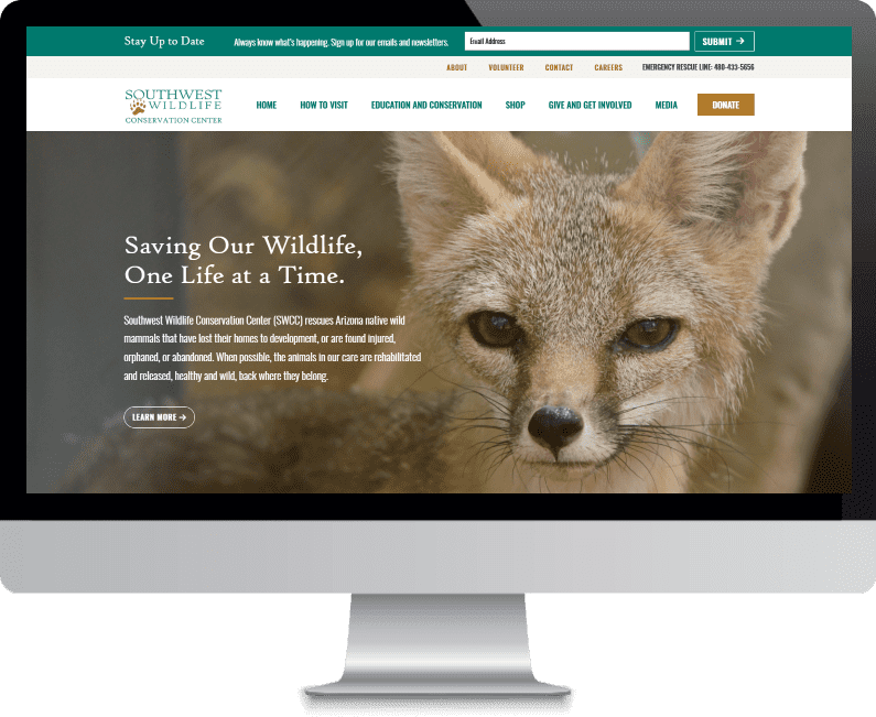 Hammersmith Support | Home